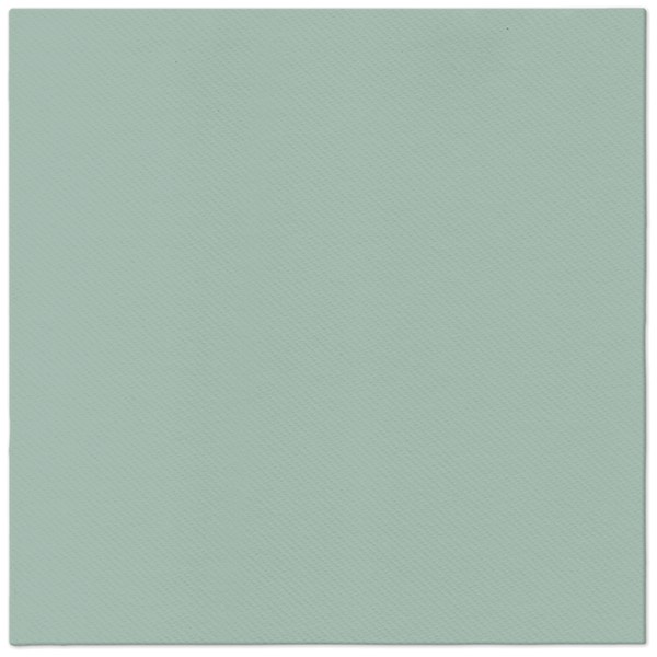 PAW - Ubrousky AIRLAID 40x40 cm Monocolor Light Green