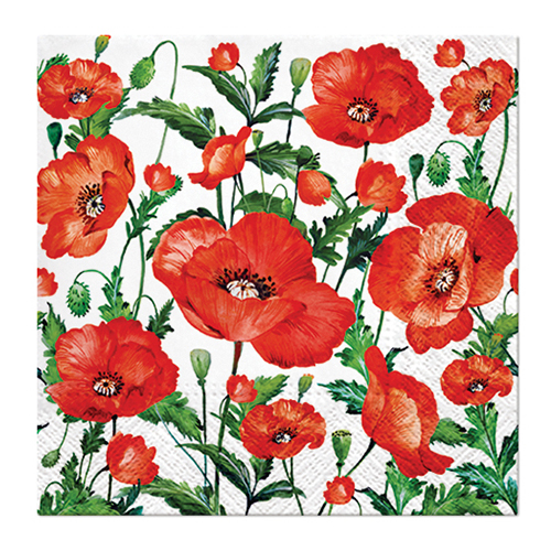 PAW - Ubrousky L 33x33cm Flanders Poppy