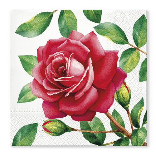 PAW - Obrousky TaT 33x33cm Special Rose