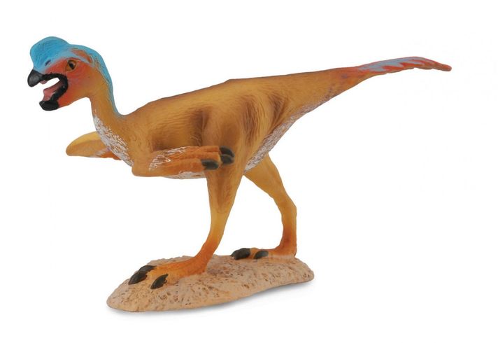 Collecte - Oviraptor