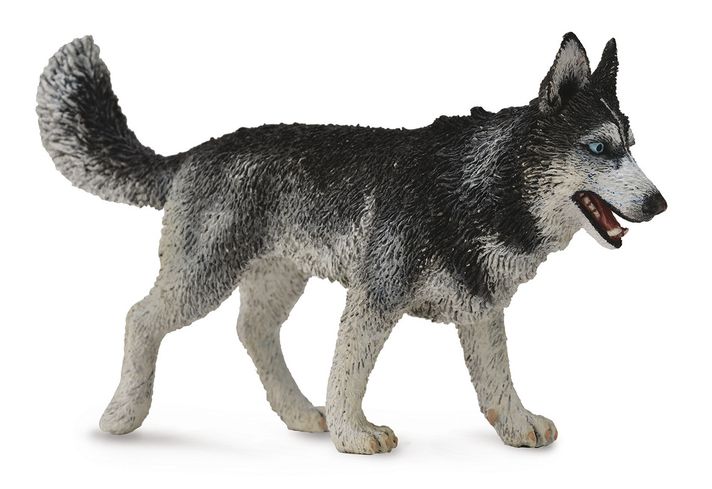 MAC TOYS - Sibiřský Husky