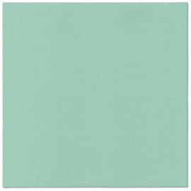 PAW - Ubrousky AIRLAID 40x40 cm Monocolor (mint)