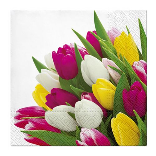 PAW - Ubrousky L 33x33 cm Bunch of Tulips