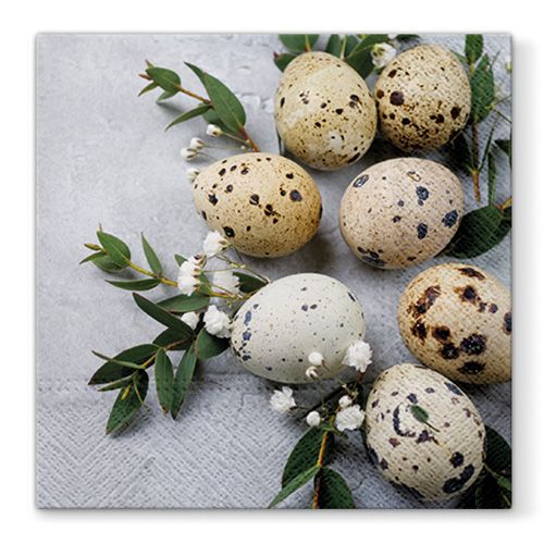 PAW - Ubrousky L 33x33cm Natural Eggs