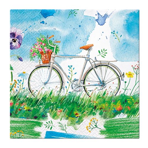 PAW - Obrúsky L 33x33cm Watercolour Bicycle