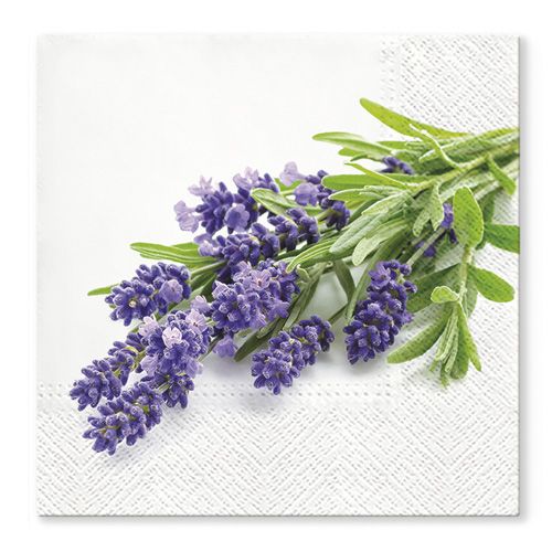 PAW - Ubrousky TaT 33x33cm Lavender Bunch