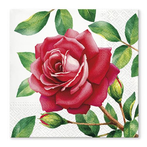 PAW - Obrousky TaT 33x33cm Special Rose