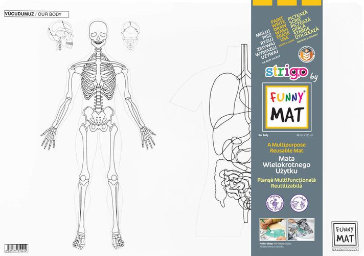 STRIGO - Podložka na kreslení FUNNY MAT - Lidské tělo + pastelky