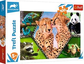 TREFL - Puzzle 100 - Krása přírody / Discovery Animal Planet